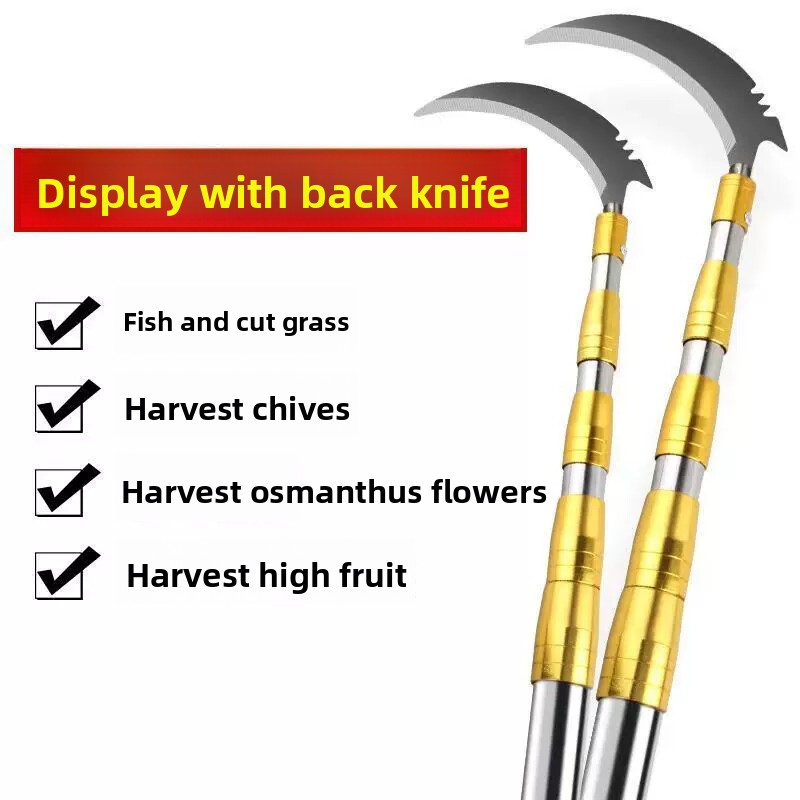 عصا قابلة للتمديد من الفولاذ ا - مراجعة Fishing Equipment Carp وسعره