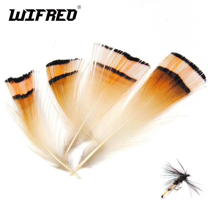 كتيفة رأس الدراج الذهبية ، 50  - مراجعة Fishing Equipment Brands وسعره